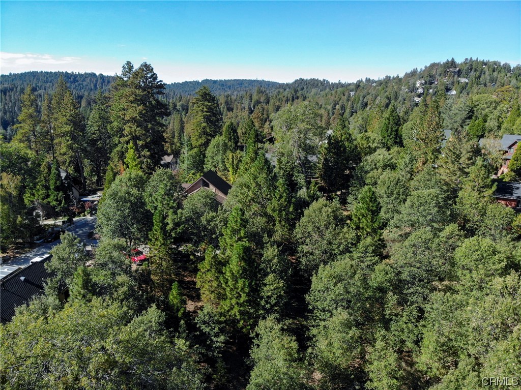27450 North Bay Road Lake Arrowhead, CA 92352 - Photo 6 of 14