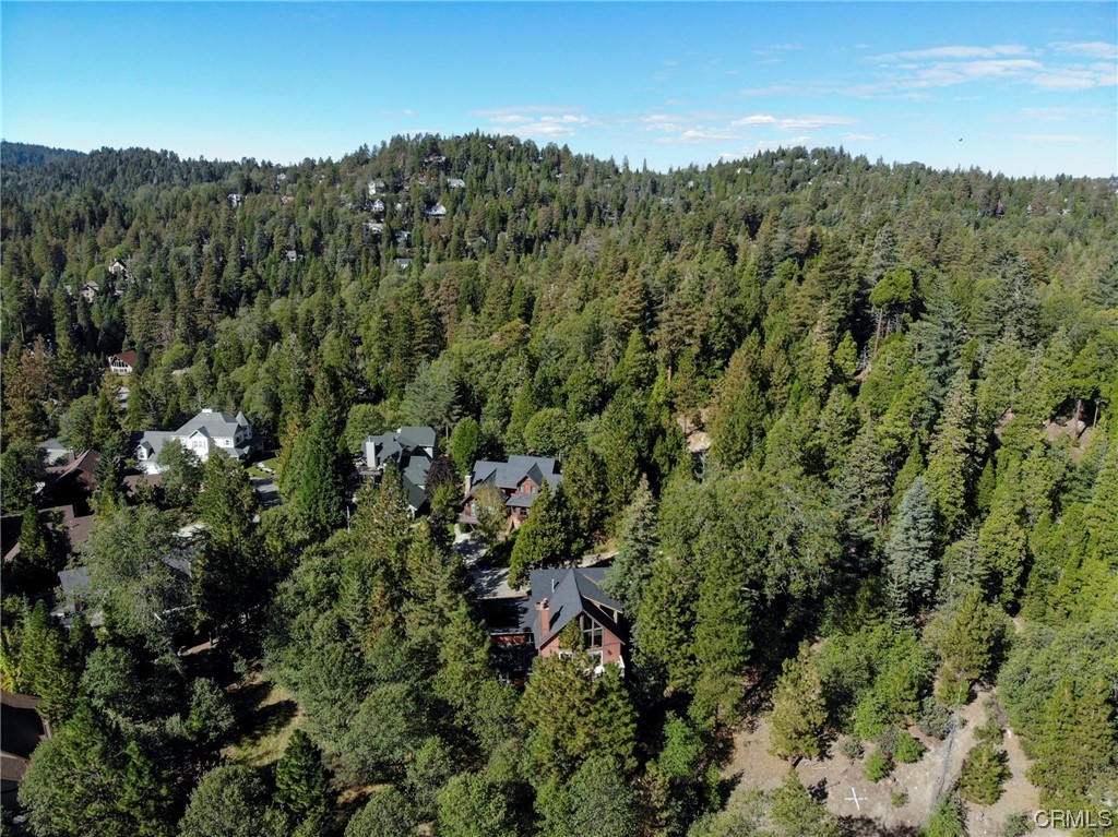 27450 North Bay Road Lake Arrowhead, CA 92352 - Photo 7 of 14