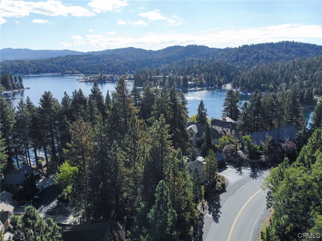 27450 North Bay Road Lake Arrowhead, CA 92352 - Photo 9 of 14