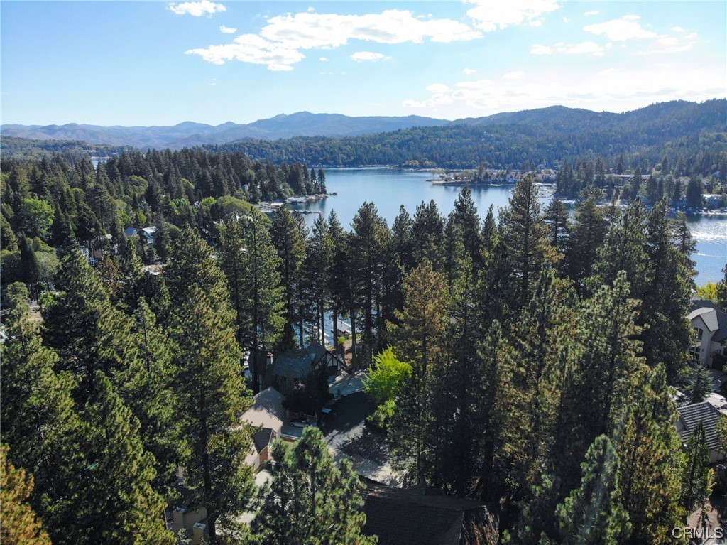 27450 North Bay Road Lake Arrowhead, CA 92352 - Photo 10 of 14