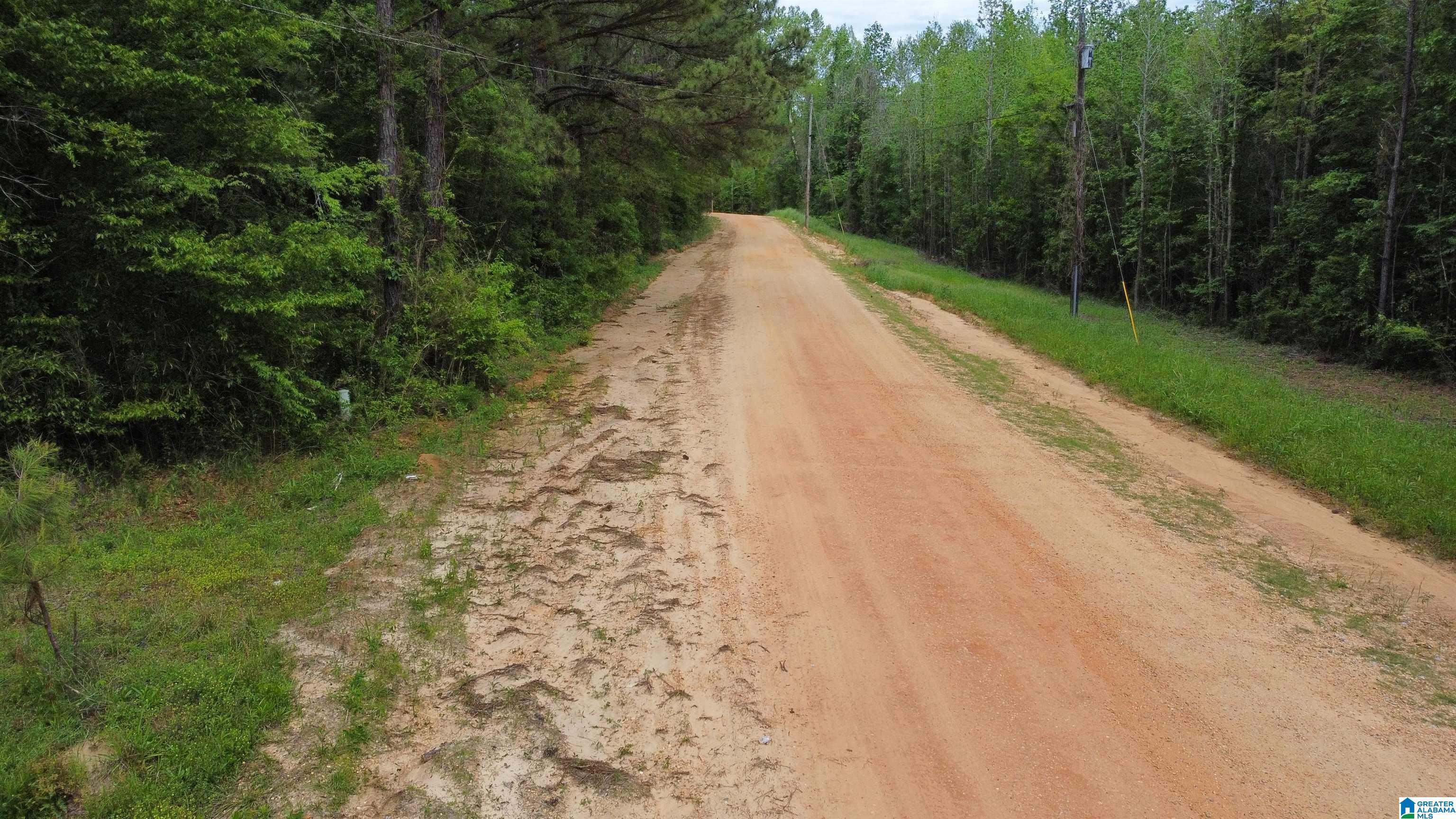 0 County Road 44 Linden, AL 36748 - Photo 24 of 48