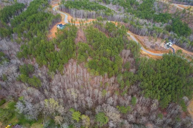 a backyard of a house with lots of green space and trees all around