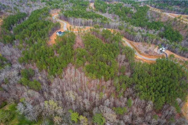 a view of a garden with a lake and trees