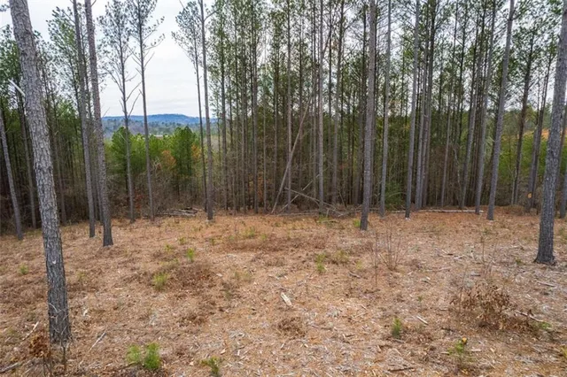 a view of wooden fence