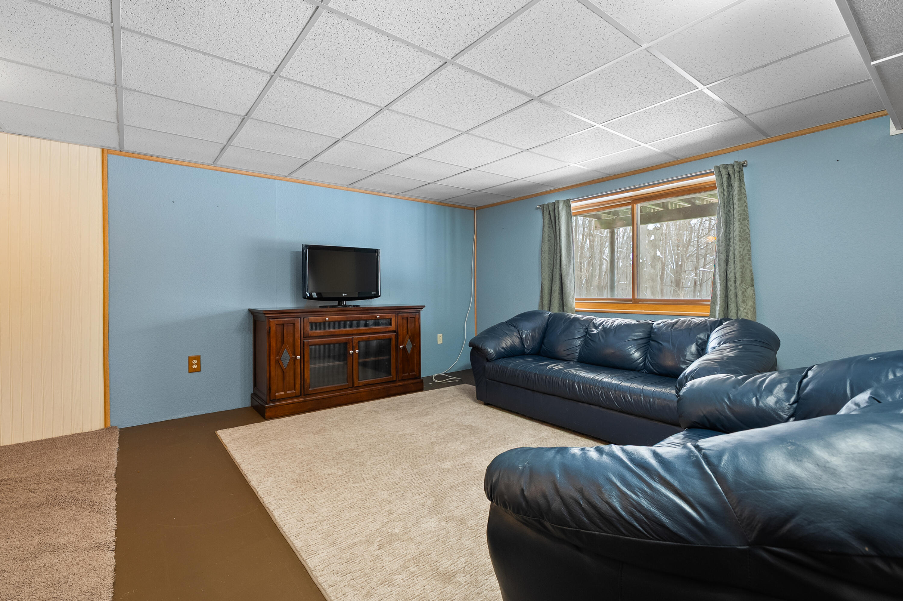 13950 Brady Road Bellevue, MI 49021 - Photo 21 of 49 Lower level family room
