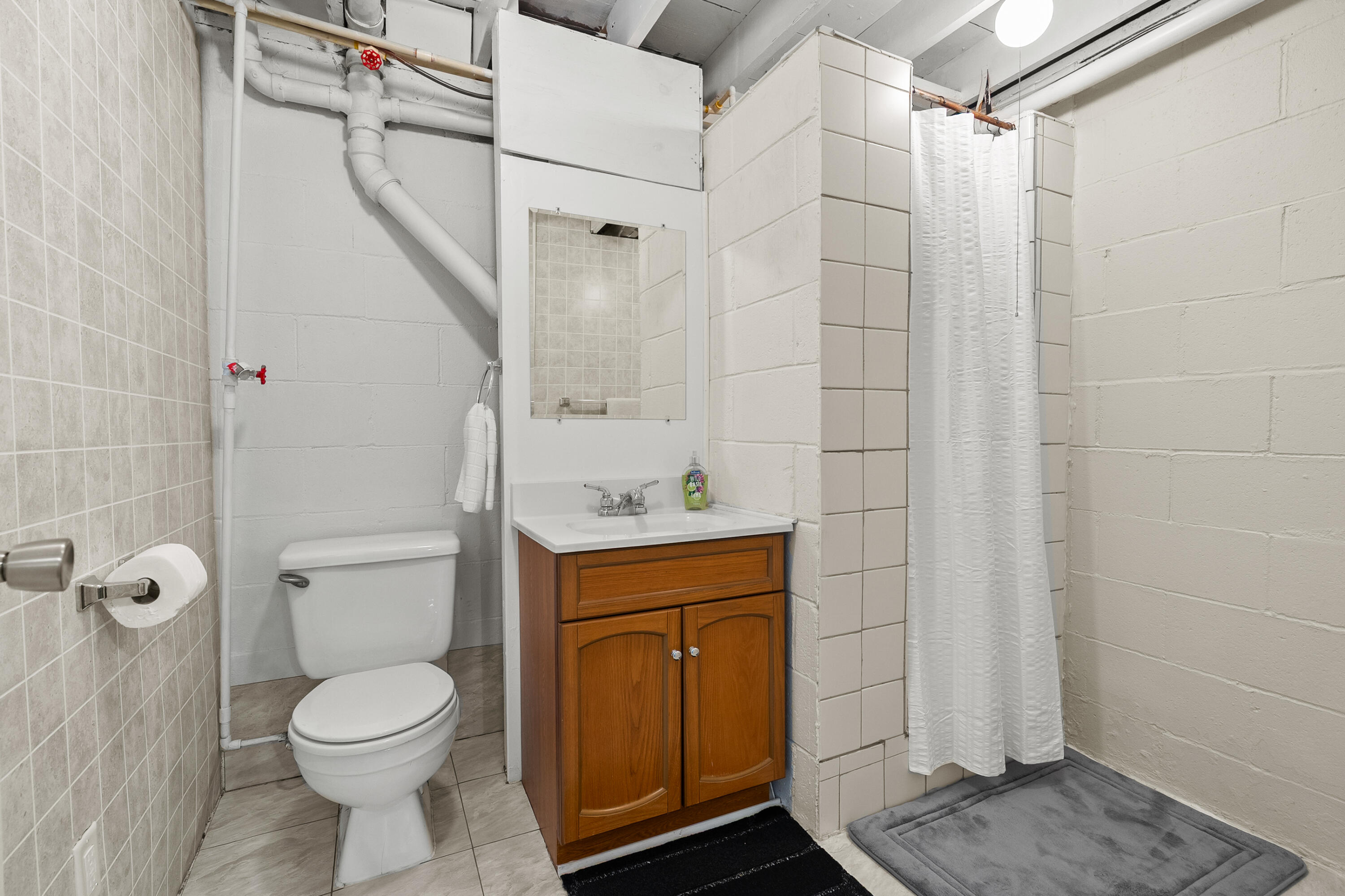 13950 Brady Road Bellevue, MI 49021 - Photo 26 of 49 Lower level 2nd bath