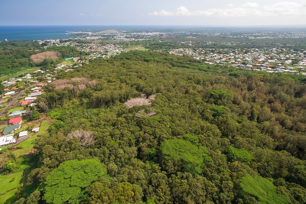 Akolea Road Hilo, HI 96720 - Photo 3 of 6