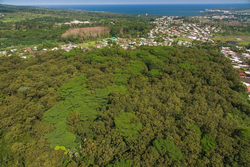 Akolea Road Hilo, HI 96720 - Photo 4 of 6