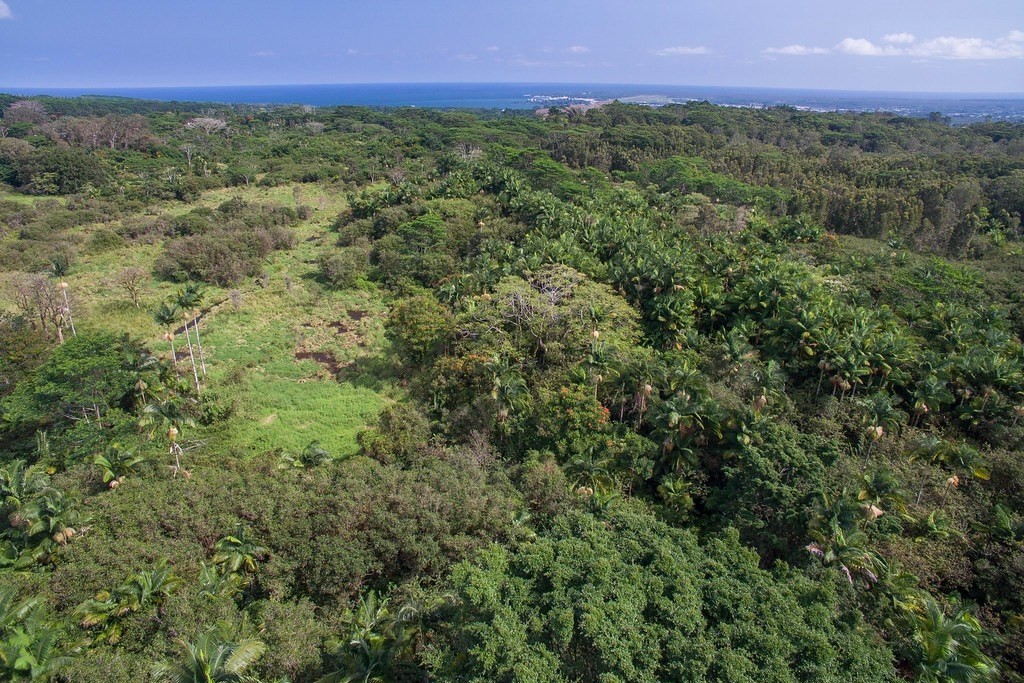 Akolea Road Hilo, HI 96720 - Photo 5 of 6