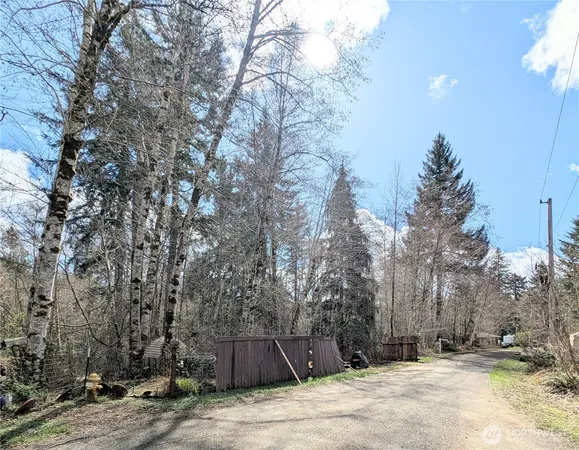 a street view with large trees
