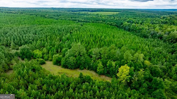 a view of a lush green space