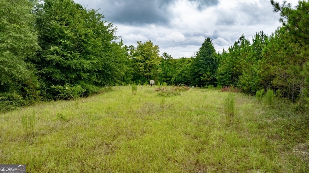 0 Les Smith Road Oglethorpe, GA 31806 - Photo 14 of 21 a view of a lake view