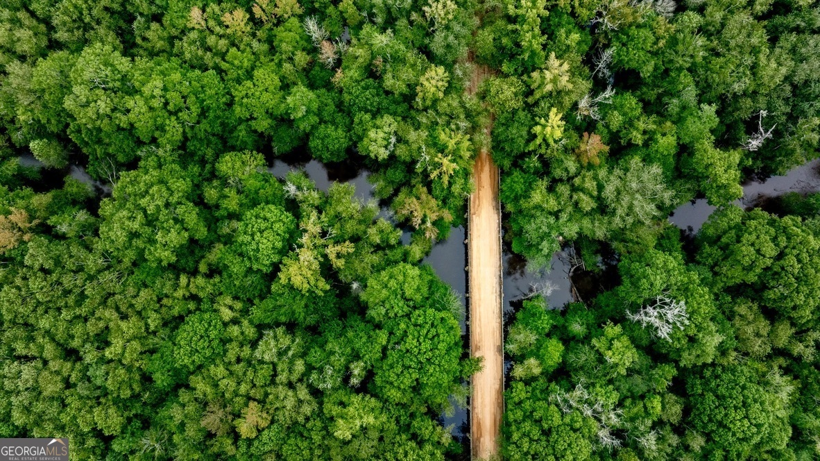 0 Les Smith Road Oglethorpe, GA 31806 - Photo 17 of 21 a view of a lush green forest