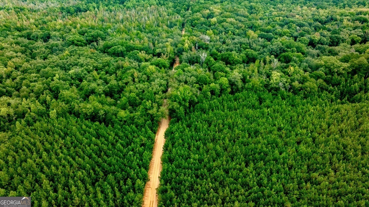 0 Les Smith Road Oglethorpe, GA 31806 - Photo 18 of 21 a view of a lush green space