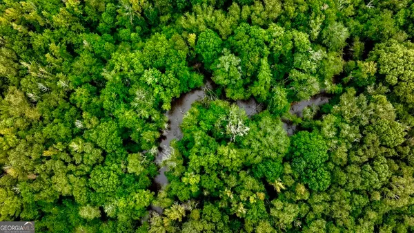 a view of a lush green space