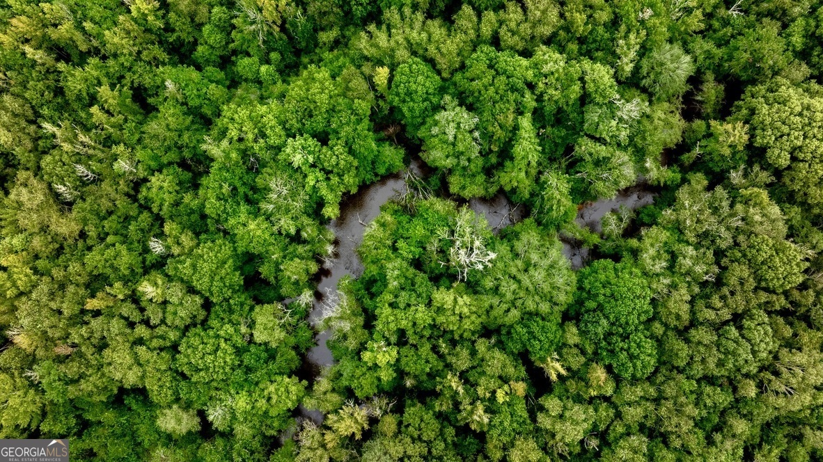 0 Les Smith Road Oglethorpe, GA 31806 - Photo 19 of 21 a view of a lush green space