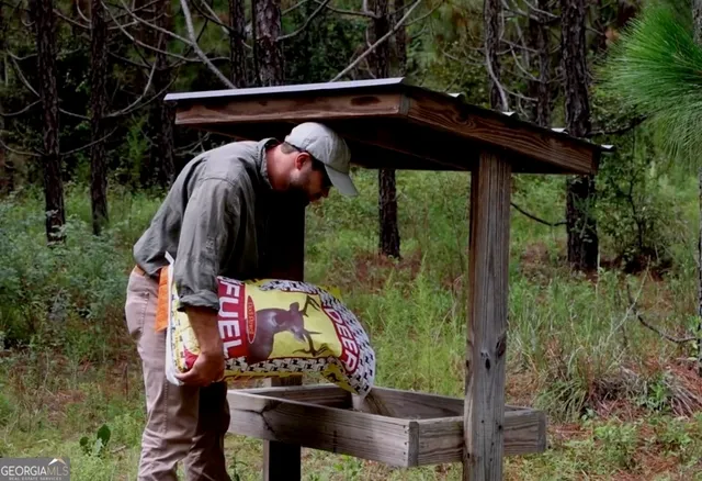 a view of balcony with plants and outdoor seating