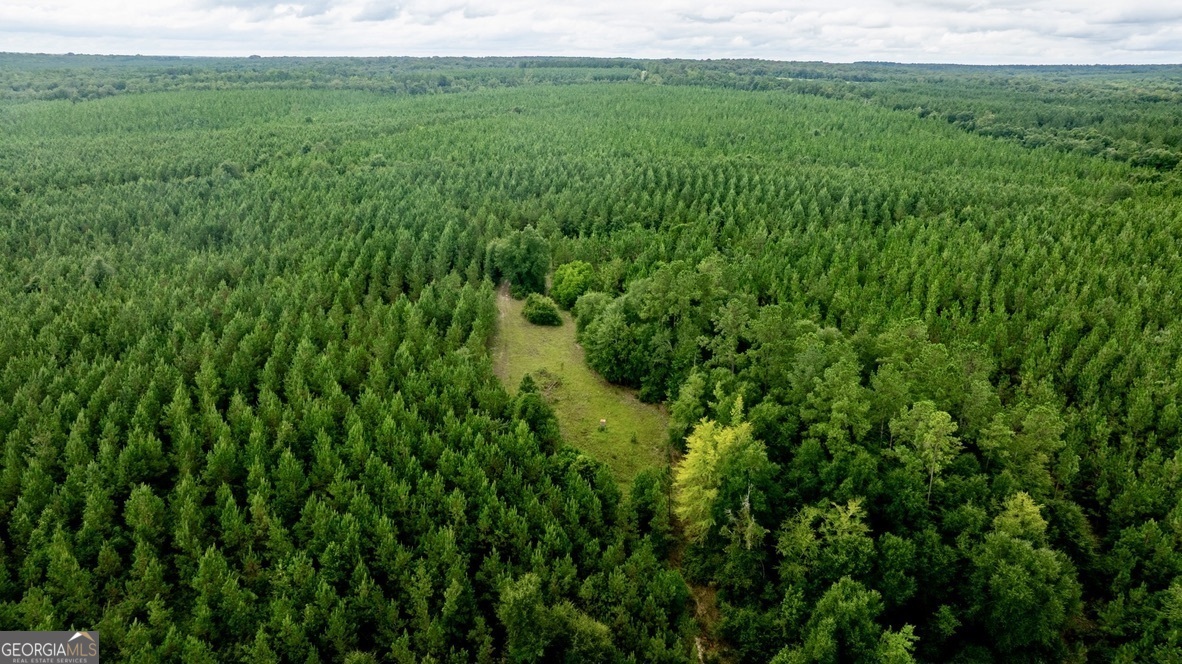 0 Les Smith Road Oglethorpe, GA 31806 - Photo 5 of 21 a view of a lush green space