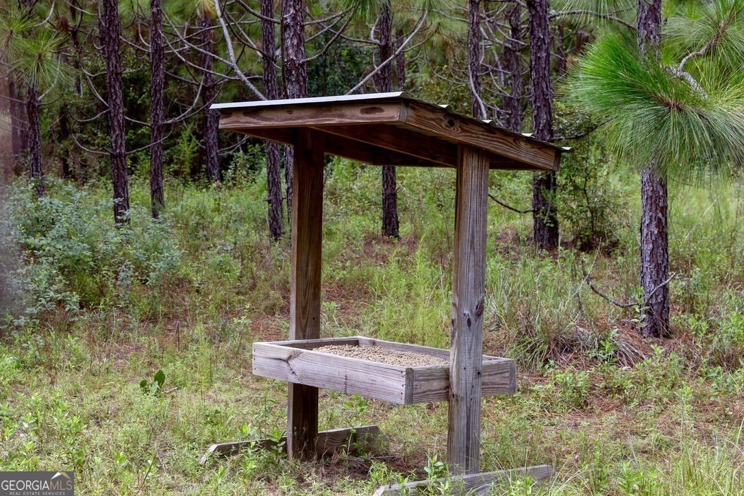 0 Les Smith Road Oglethorpe, GA 31806 - Photo 6 of 21 a view of a yard with a table and chairs under an umbrella