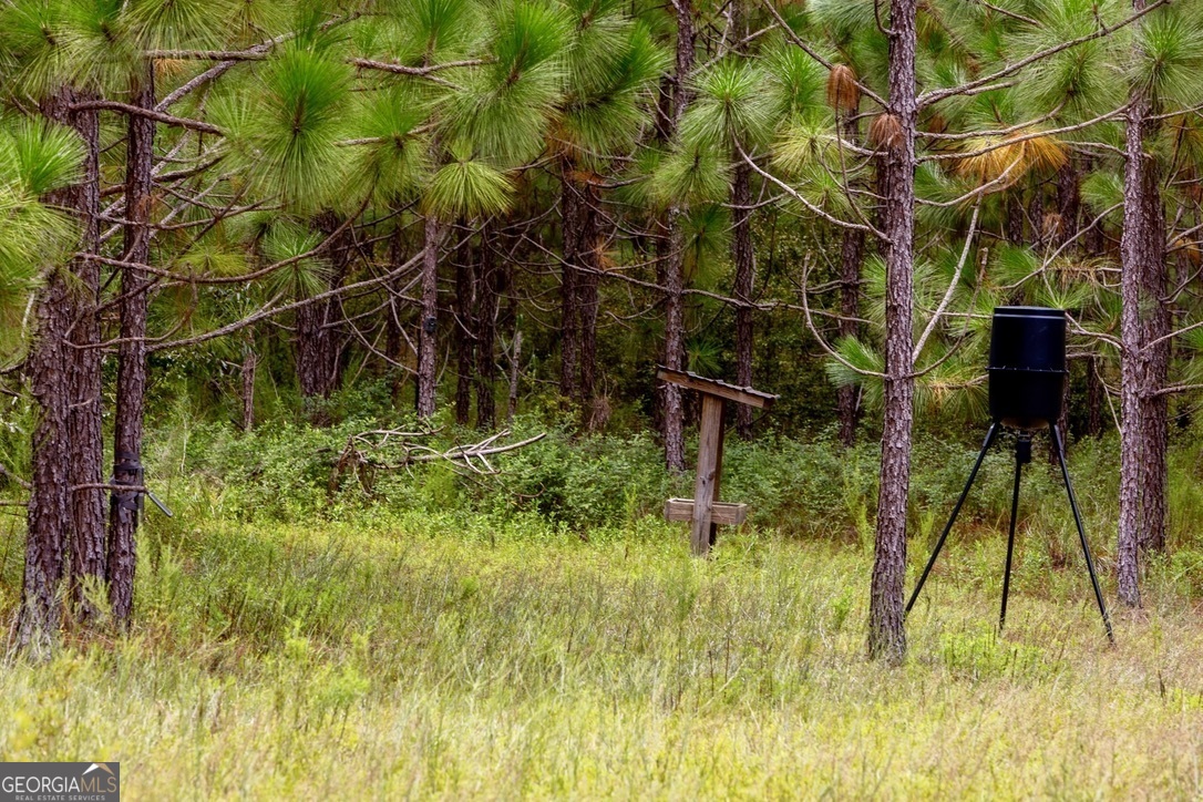 0 Les Smith Road Oglethorpe, GA 31806 - Photo 9 of 21 a backyard of a building with barbeque oven table and chairs