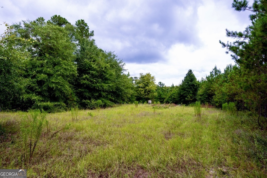 0 Les Smith Road Oglethorpe, GA 31806 - Photo 10 of 21 a view of an ocean from a yard