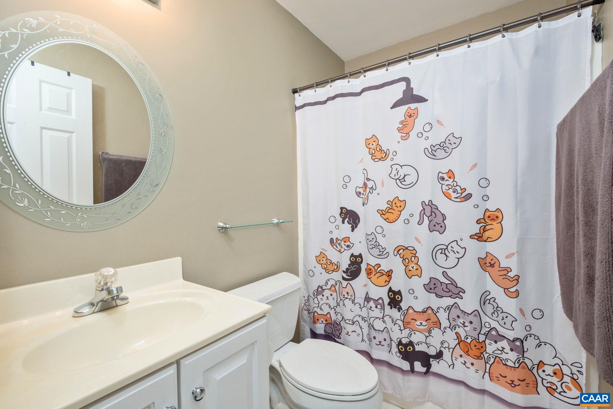 998 Pintail Lane Charlottesville, VA 22903 - Photo 15 of 26
