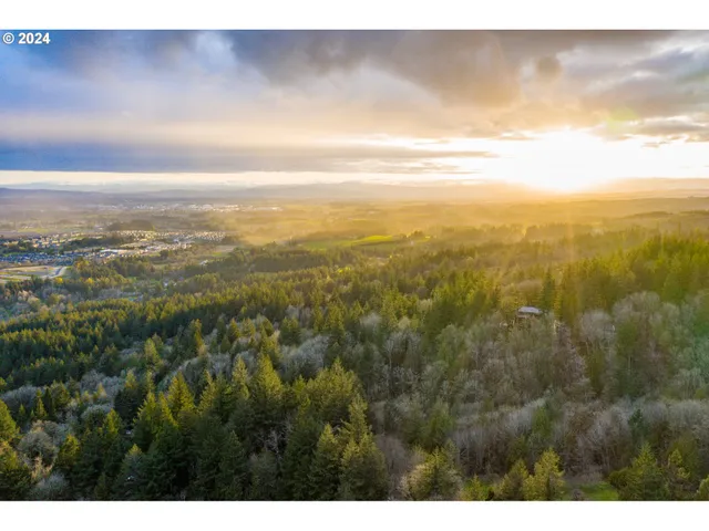 a view of city and mountain