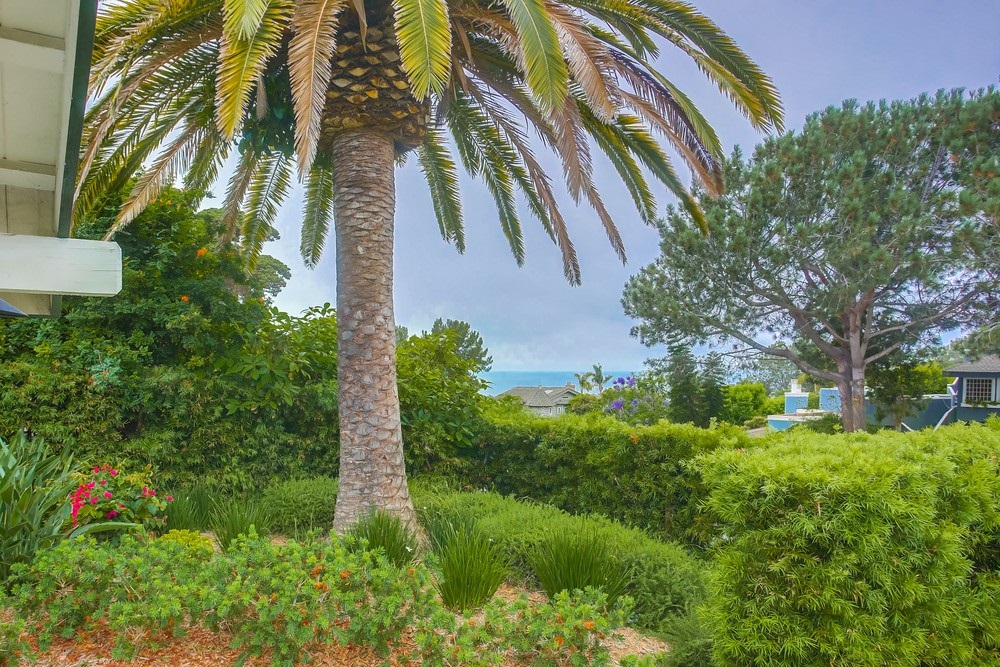 2121 Del Mar Heights Road Del Mar, CA 92014 - Photo 3 of 25 Gallery Image 3