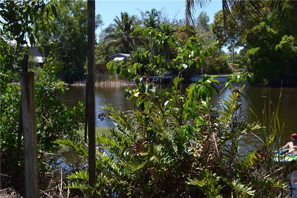 3980 New Moon Court Naples, FL 34112 - Photo 6 of 10 a backyard of a house with lots of green space and garden