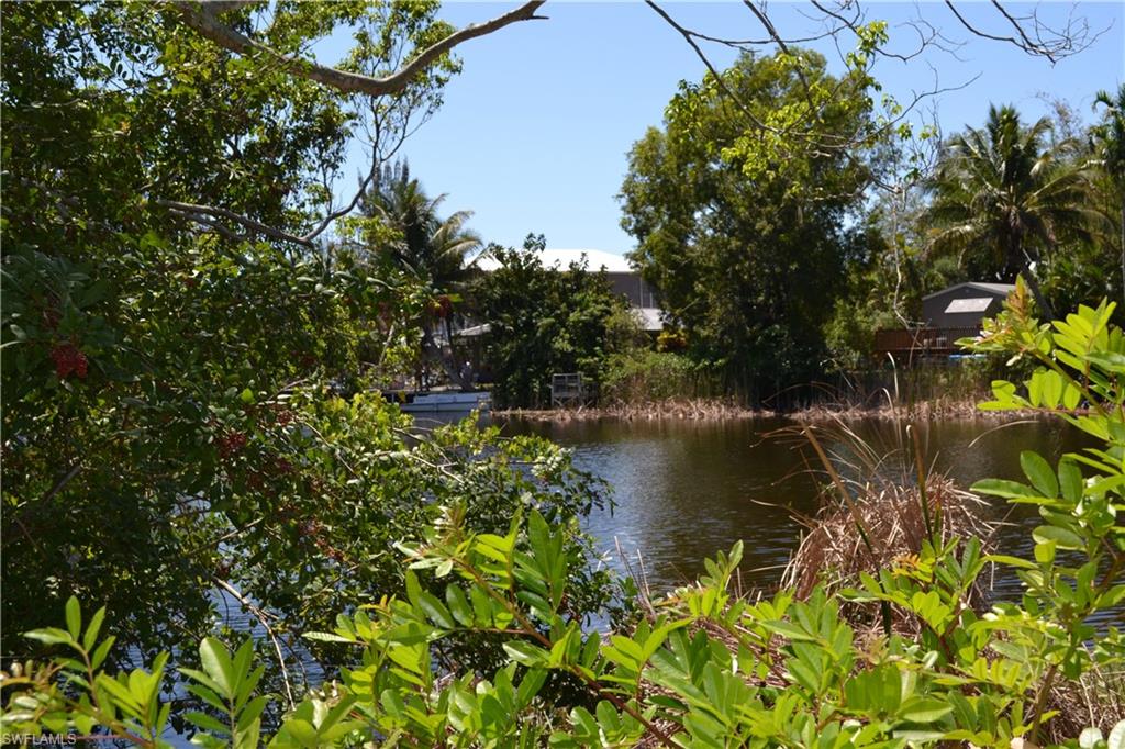 3980 New Moon Court Naples, FL 34112 - Photo 8 of 10 a view of a lake with a tree