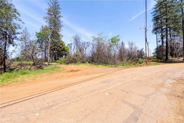 a view of a yard with a tree