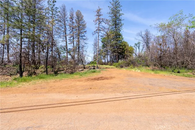 a view of outdoor space with trees