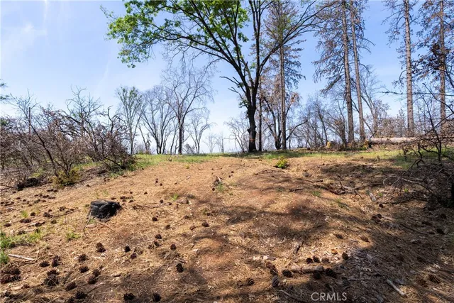 a view of yard covered with snow