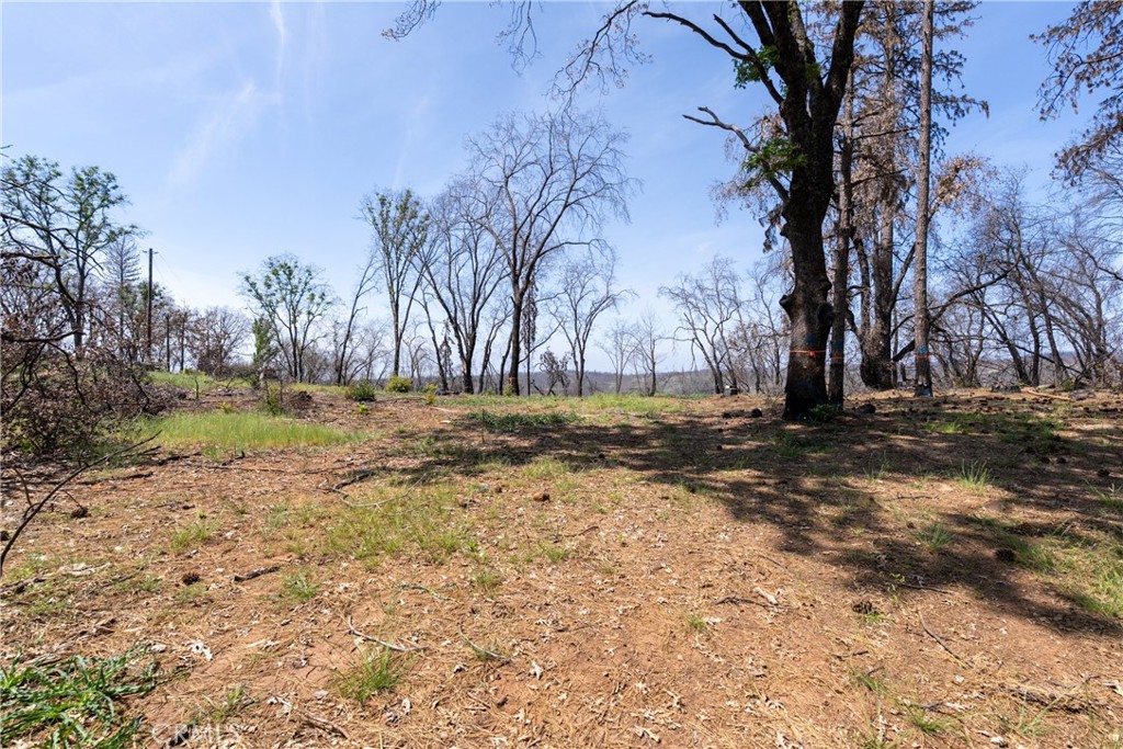 0 Toll Gate Way Forest Ranch, CA 95942 - Photo 16 of 62 a view of outdoor space with trees