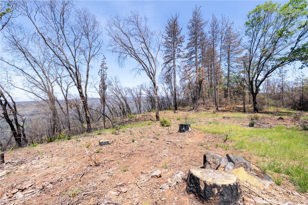 0 Toll Gate Way Forest Ranch, CA 95942 - Photo 17 of 62 a view of yard covered with snow in front of house