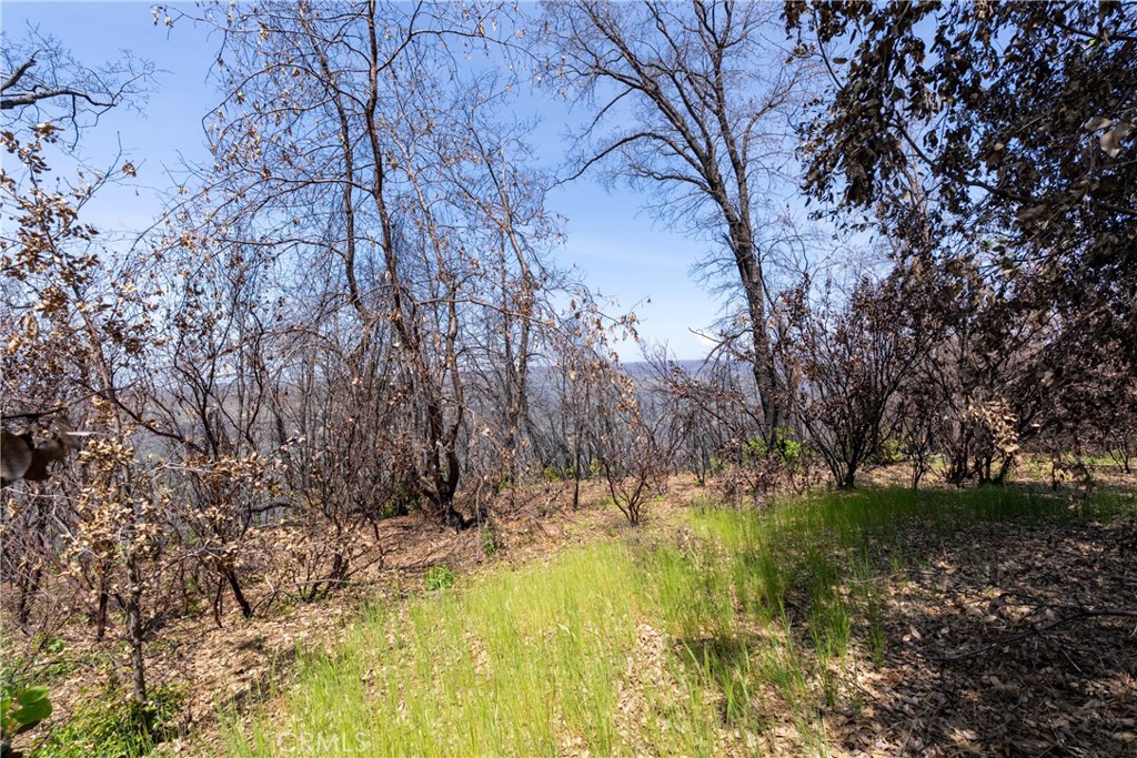 0 Toll Gate Way Forest Ranch, CA 95942 - Photo 19 of 62 a view of yard covered with snow