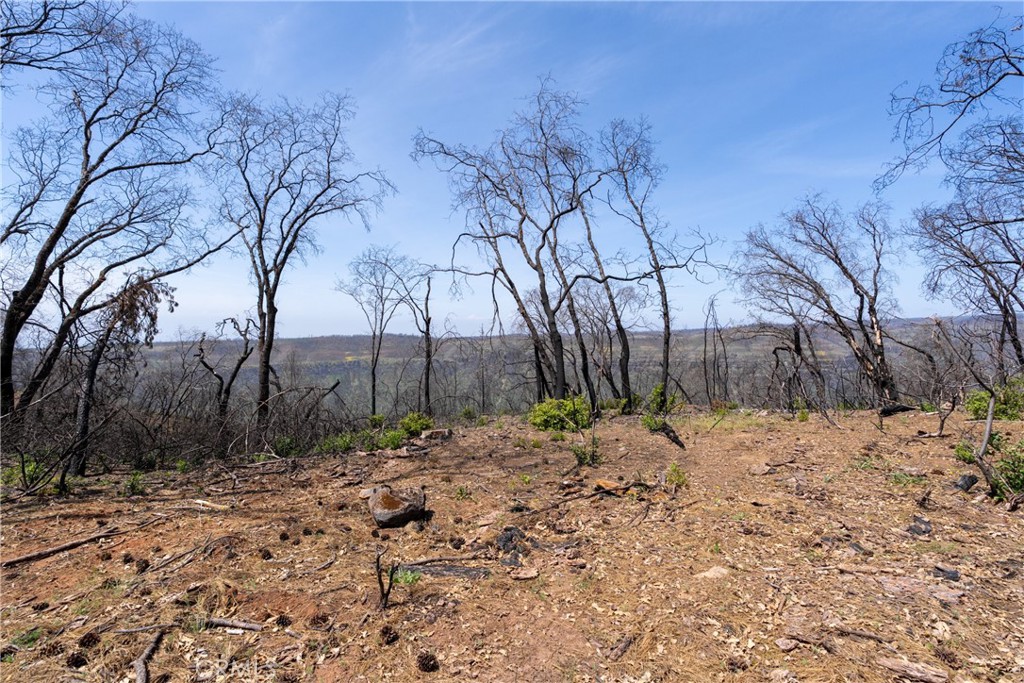 0 Toll Gate Way Forest Ranch, CA 95942 - Photo 20 of 62 a backyard of a house with large trees