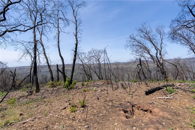 a view of yard covered with snow