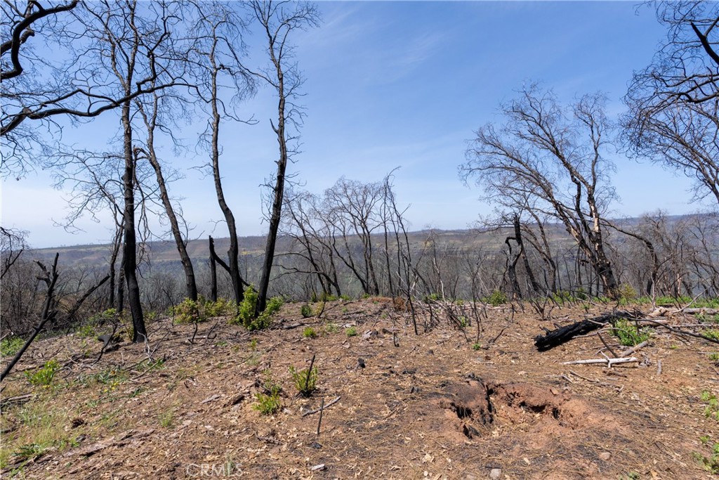 0 Toll Gate Way Forest Ranch, CA 95942 - Photo 21 of 62 a view of a backyard of the house