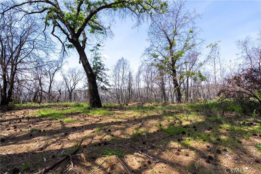0 Toll Gate Way Forest Ranch, CA 95942 - Photo 23 of 62 a yard with tall trees