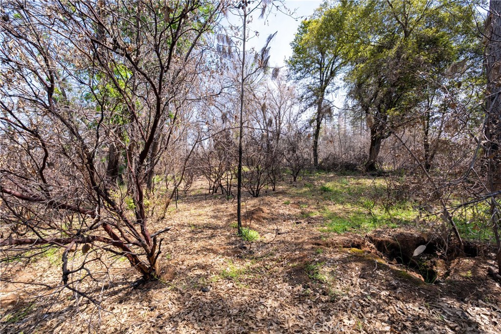 0 Toll Gate Way Forest Ranch, CA 95942 - Photo 24 of 62 a backyard of a house with lots of green space