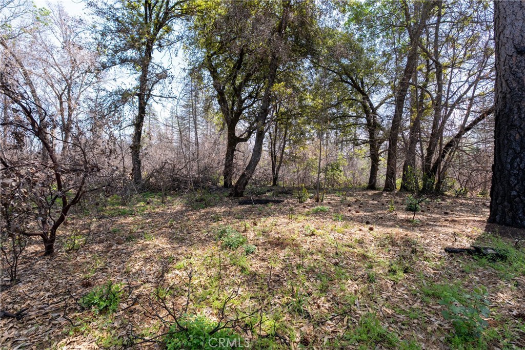 0 Toll Gate Way Forest Ranch, CA 95942 - Photo 25 of 62 a view of backyard with large trees