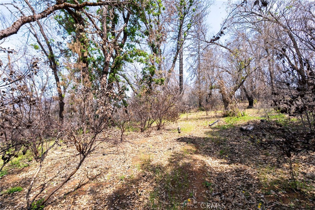 0 Toll Gate Way Forest Ranch, CA 95942 - Photo 26 of 62 a view of yard covered with snow