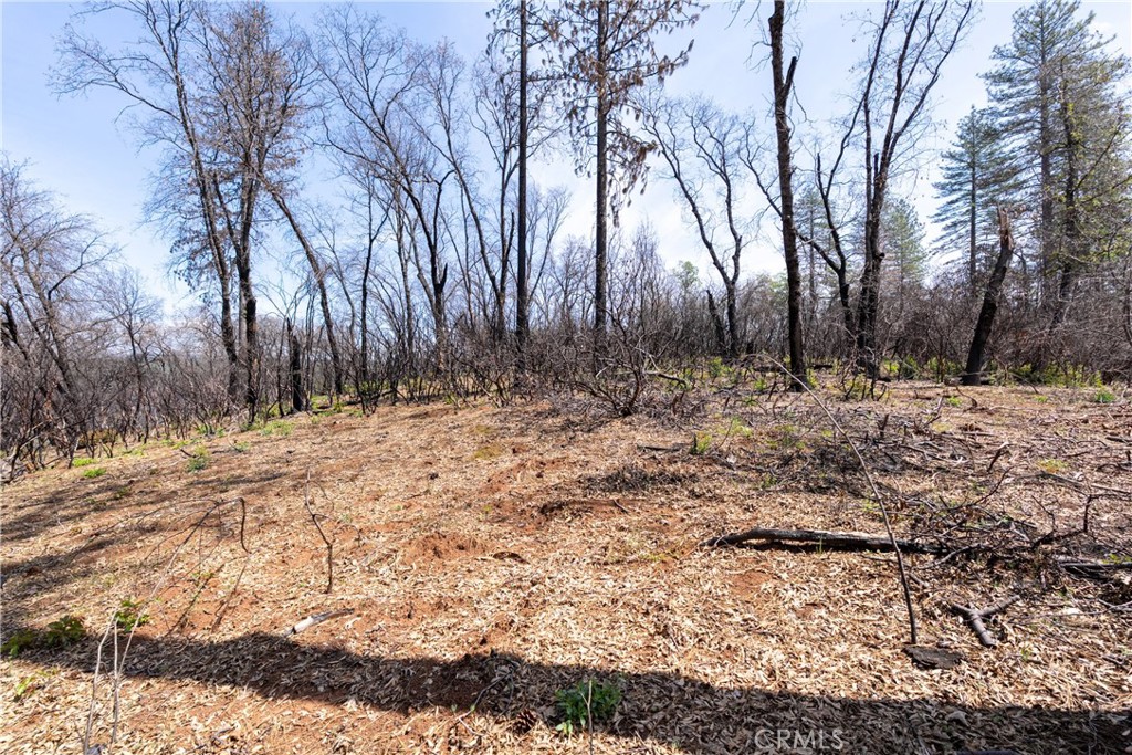 0 Toll Gate Way Forest Ranch, CA 95942 - Photo 29 of 62