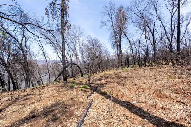 a view of a yard covered with snow