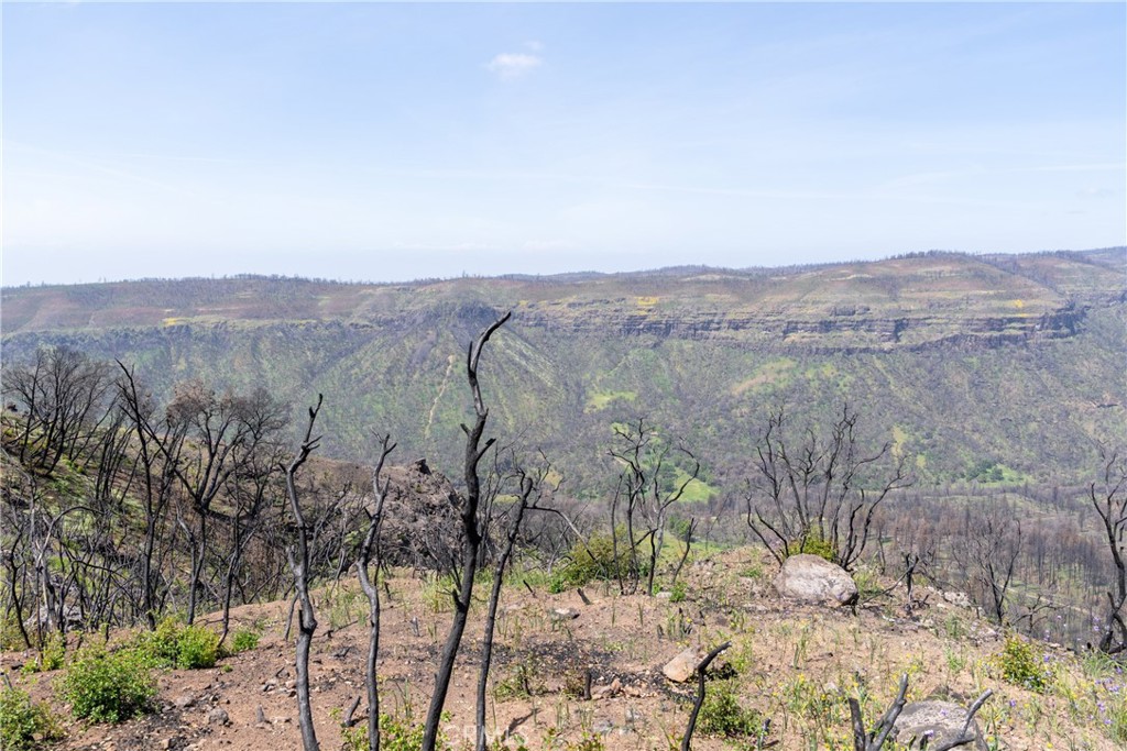 0 Toll Gate Way Forest Ranch, CA 95942 - Photo 3 of 62 a view of a forest with trees in the background