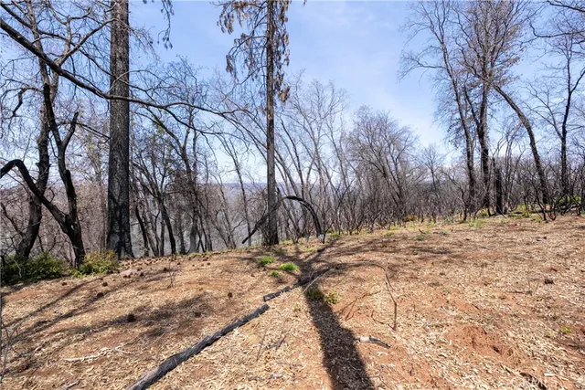 a view of a backyard of the house