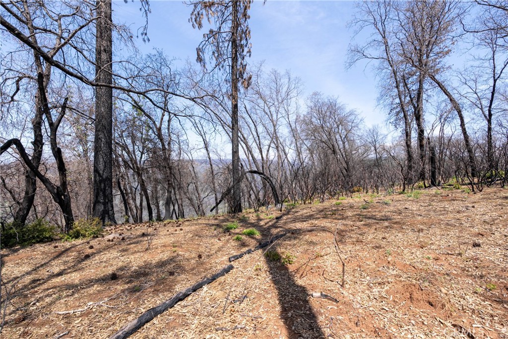 0 Toll Gate Way Forest Ranch, CA 95942 - Photo 31 of 62 a view of a yard covered with snow in the background