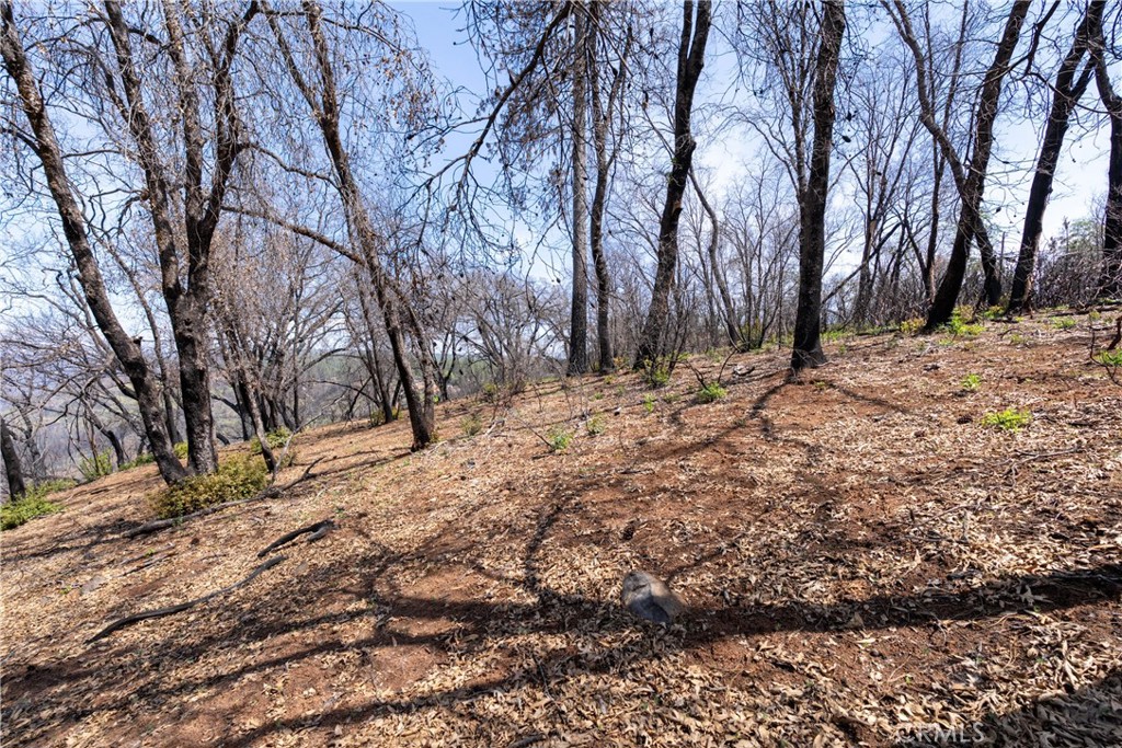 0 Toll Gate Way Forest Ranch, CA 95942 - Photo 33 of 62 a view of a yard covered with snow