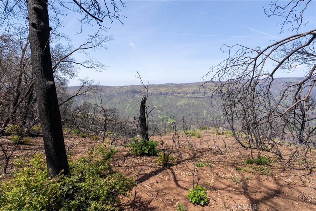 0 Toll Gate Way Forest Ranch, CA 95942 - Photo 35 of 62 a view of a yard